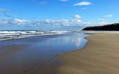Beaches & Coasts